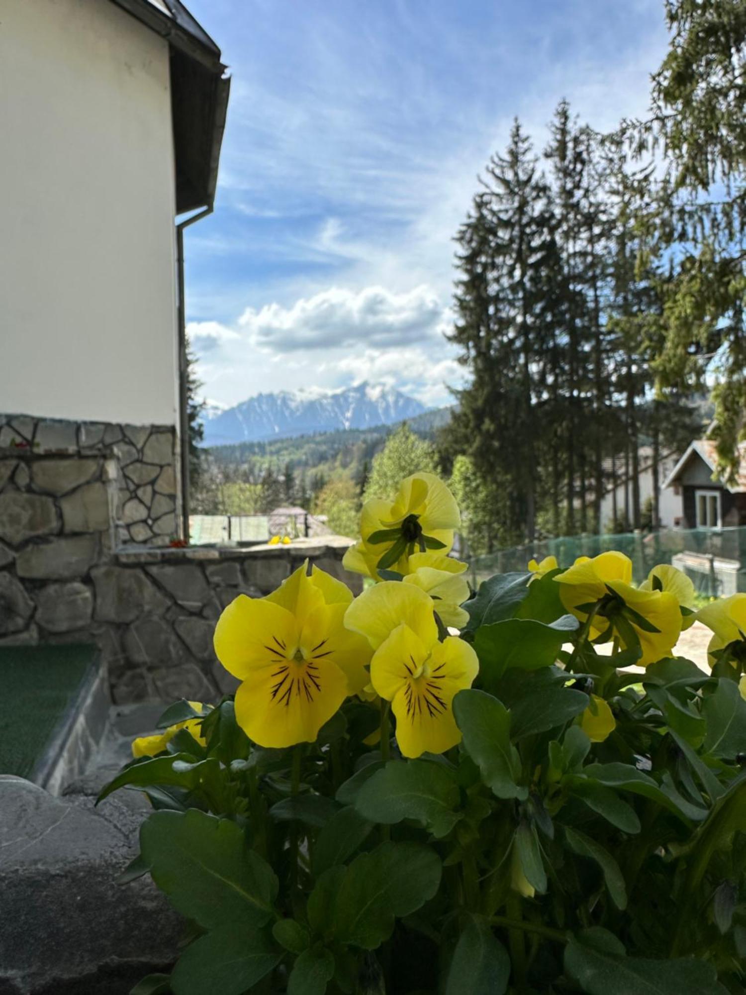 Pine Peak Apartments 프레데알 외부 사진